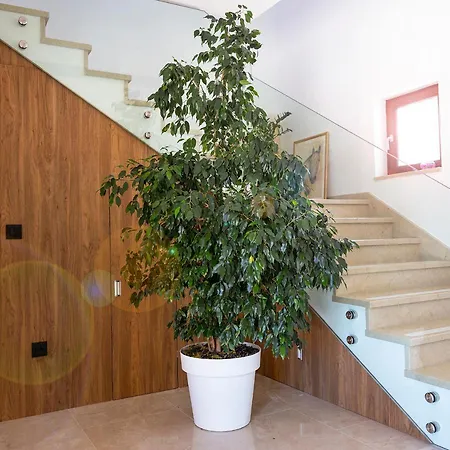 Peleo Villa Čilipi